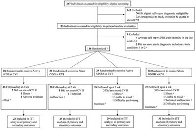 Meditative-based diaphragmatic breathing vs. vagus nerve stimulation in the treatment of fibromyalgia—A randomized controlled trial: Body vs. machine